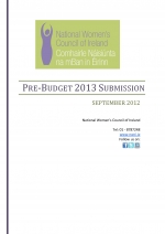 NWCI Pre-Budget Submission 2013 - Final version