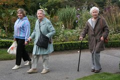 Don’t Pick on Pensioner