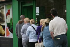 Dole Office Queue