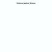 Milennium Report on Violence Against Women