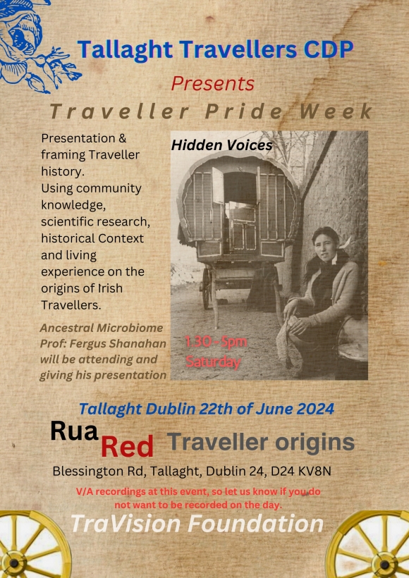 Tallaght Travellers CDP - Traveller Pride Event
