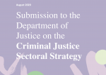 Submission to the Department of Justice on the Criminal Justice Sectoral Strategy
