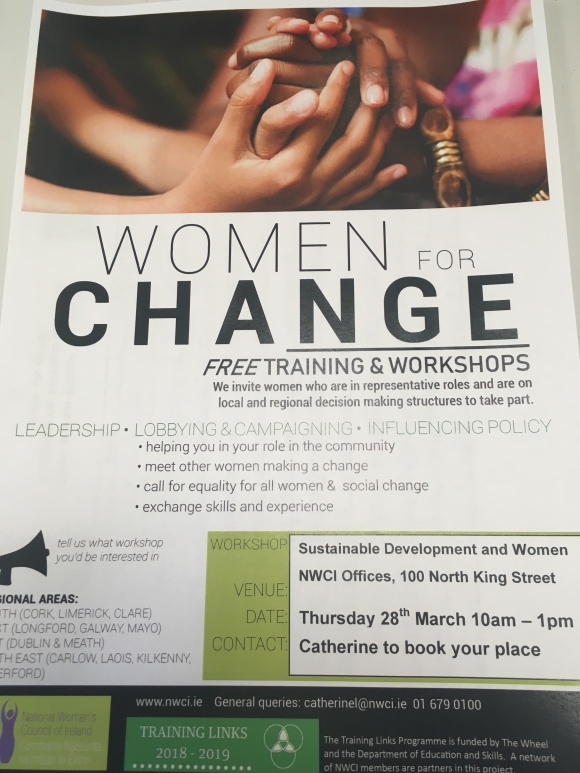 Dublin Women for Change: Sustainable Development and Women