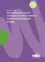 National Women’s Council Submission to Joint Committee on Health (National Maternity Strategy)