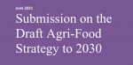 NWC Submission to the Agrifood Strategy 2030
