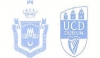 The Irish Institute of Group Analysis announces an open morning