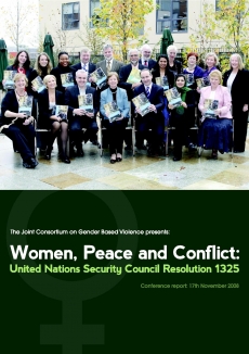 The background to the development of Ireland’s National Action Plan